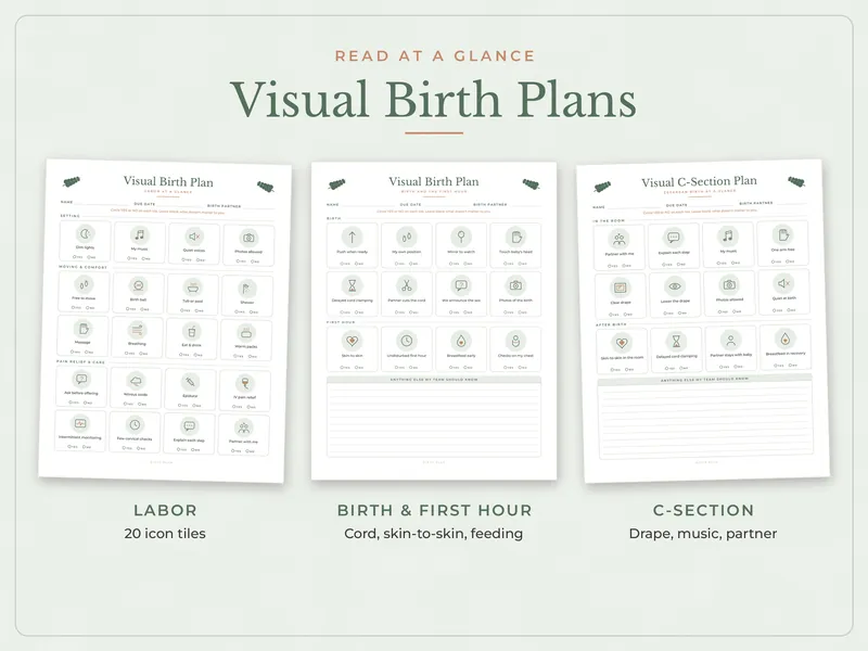 Birth Plan Template: visual