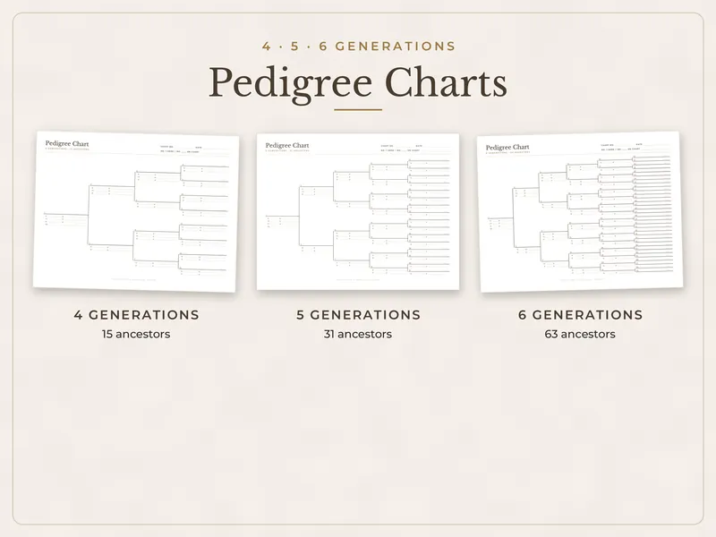 Family Tree & Genealogy Charts: pedigree