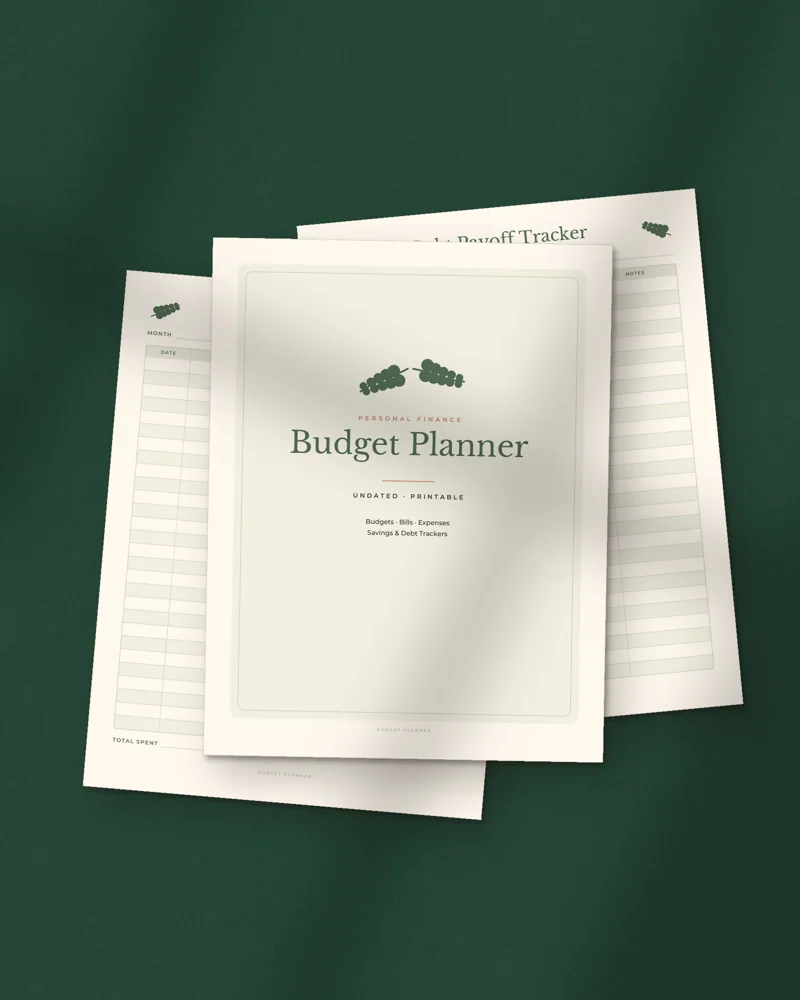 Budget Planner: printed pages fanned out