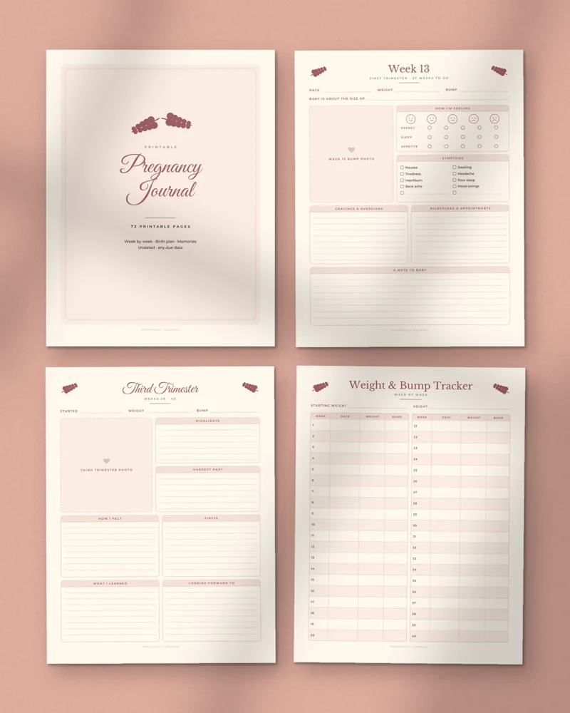Pregnancy Journal and Planner: a selection of the pages inside