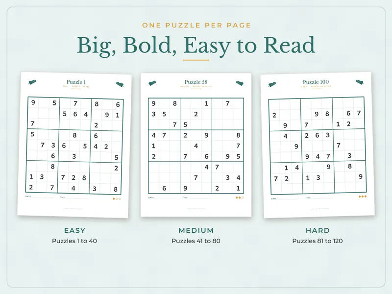 Large Print Sudoku Book: puzzles