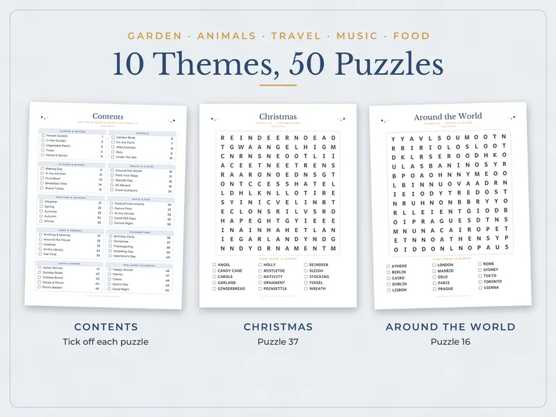 Large Print Word Search for Adults: themes